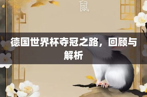 德国世界杯夺冠之路，回顾与解析