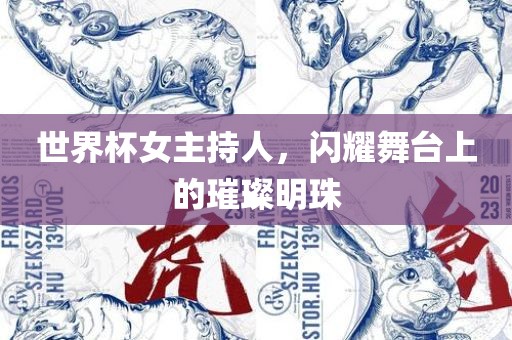 世界杯女主持人，闪耀舞台上的璀璨明珠
