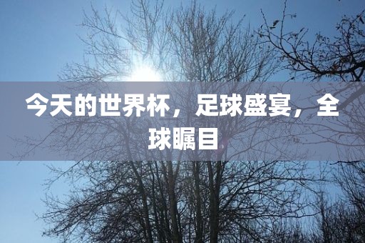 今天的世界杯，足球盛漯河市盈旭机械设备有限公司宴，全球瞩目