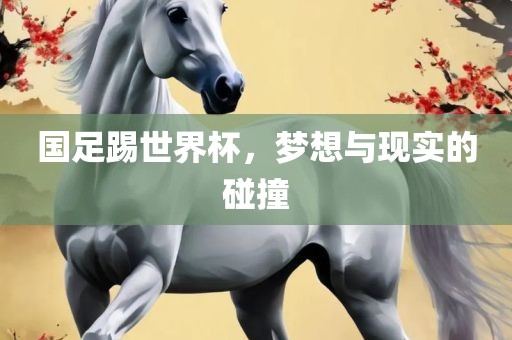 国足踢世界杯，梦想与现实的碰撞漯河市盈旭机械设备有限公司