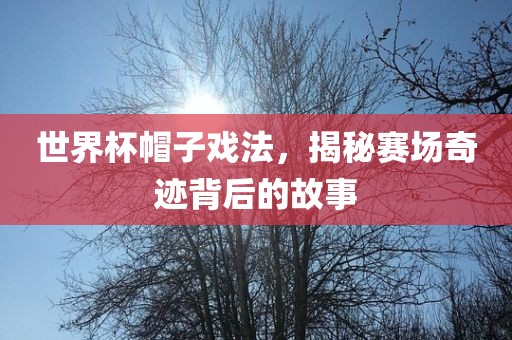 世界杯帽子戏法，揭秘赛场奇漯河市盈旭机械设备有限公司迹背后的故事