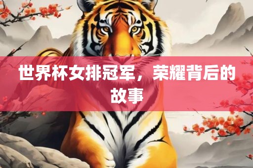 世界杯女排冠军，荣耀背后的故事漯河市盈旭机械设备有限公司