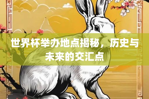 世界杯举办地点揭秘，历史与未来的交汇点