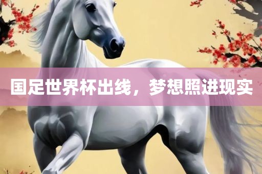 国足世界杯出线，梦想照进现实