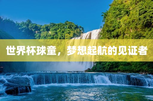 世界杯球童，梦想起航的见证者