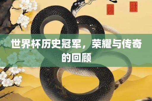 世界杯历史冠军，荣耀与传奇的回顾