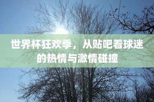 世界杯狂欢季，从贴吧看球迷的热情与激情碰撞