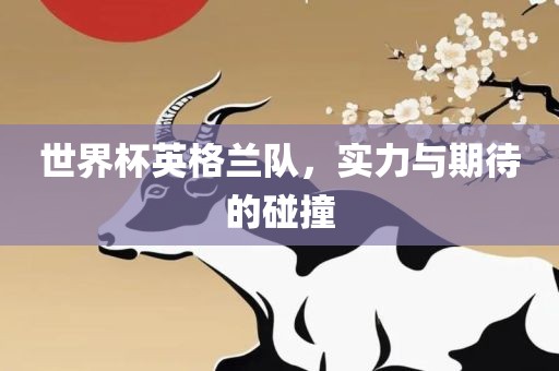 世界杯英格兰队，实力与期待的碰撞