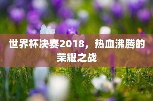 世界杯决赛2018，热血沸腾的荣耀之战漯河市盈旭机械设备有限公司