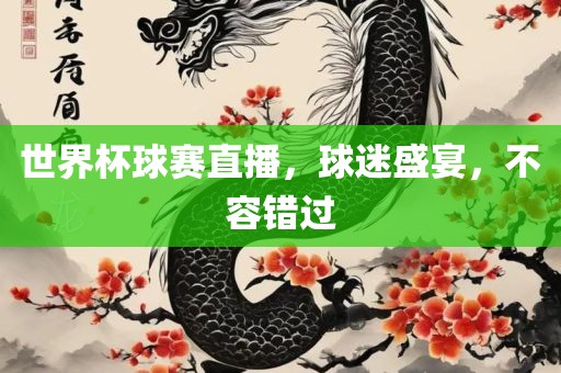 世界杯球赛直播，球迷盛宴，不容错过