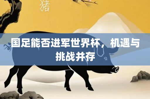 国足能否进军世界杯，机遇与挑战并存