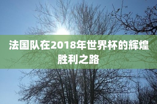 法国队在2018年世界杯的辉煌胜利之路