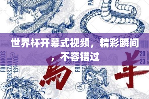 世界杯开幕式视频，精彩瞬间，不容错过