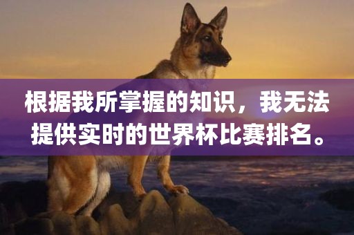 根据我所掌握的知识，我无法提供实时的世界杯比赛排名。漯河市盈旭机械设备有限公司