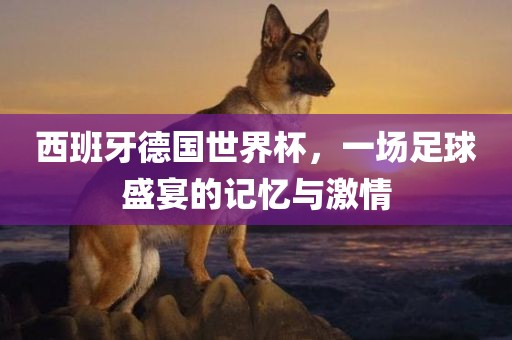 漯河市盈旭机械设备有限公司西班牙德国世界杯，一场足球盛宴的记忆与激情
