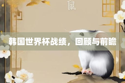韩国世界杯战绩，回顾与前瞻