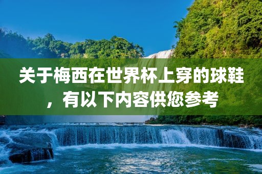 关于梅西在世界杯上穿的球鞋，有以下内容供您参考