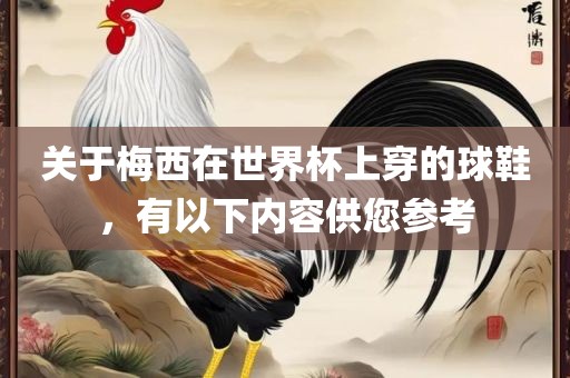 关于梅西在世界杯上穿的球鞋，有以下内容供您参考