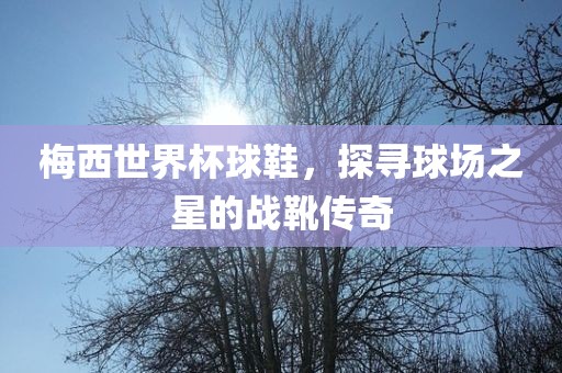 梅西世界杯球鞋，探寻球场之星的战靴传奇漯河市盈旭机械设备有限公司