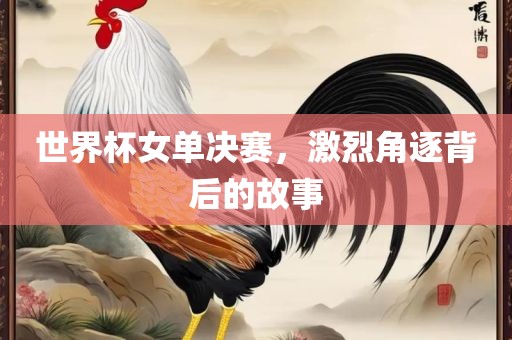 世界杯女单决赛，激烈角逐背后的故事