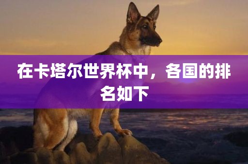 在卡塔尔世界杯中，各国的排名如下漯河市盈旭机械设备有限公司
