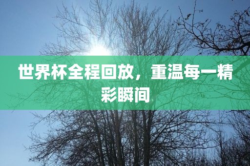 世界杯全程回放，重温每一精彩瞬间