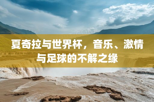 夏奇拉与世界杯，音漯河市盈旭机械设备有限公司乐、激情与足球的不解之缘