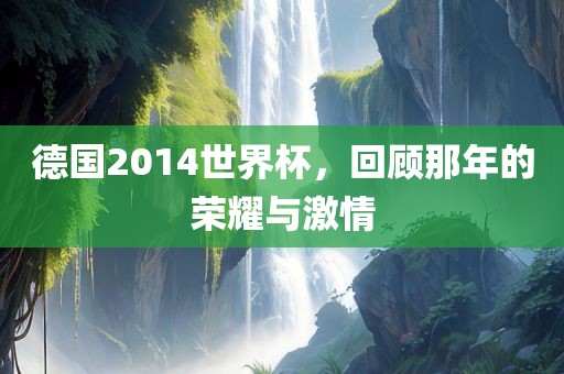 德国2014世界杯，回顾那年的荣耀与激情