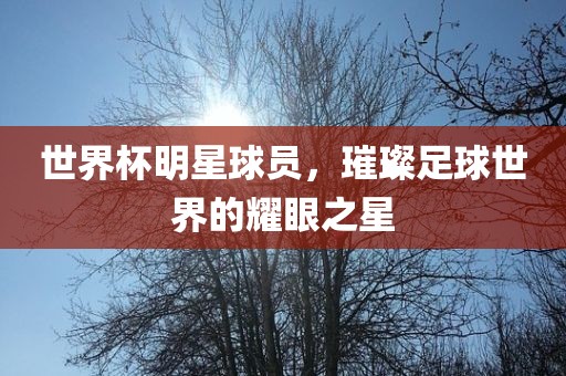 世界杯明星球员，璀璨足球世界的耀眼之星