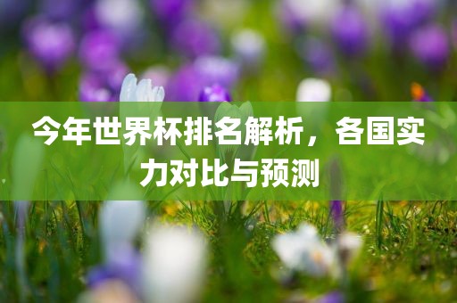 今年世界杯排名解析，各国实力对比与预测