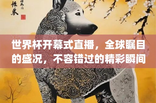 世界杯开幕式直播，全球瞩目的盛况，不容错过的精彩瞬间