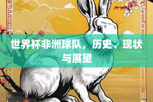 世界杯非洲球队，历史、现状与展望