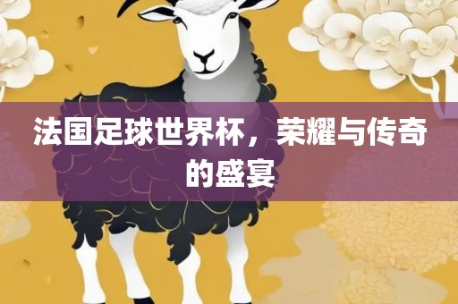 法国足球世界杯，荣耀与传奇的盛宴