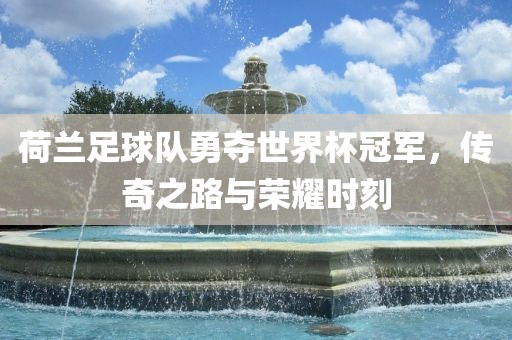 荷兰足球队勇夺世界杯冠军，传奇之路与荣耀时刻