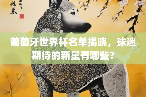 葡萄牙世界杯名单揭晓，球迷期待的新星有哪些？