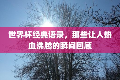 世界杯经漯河市盈旭机械设备有限公司典语录，那些让人热血沸腾的瞬间回顾
