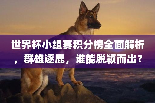 世界杯小组赛积分榜全面解析，群雄逐鹿，谁能脱颖而出？