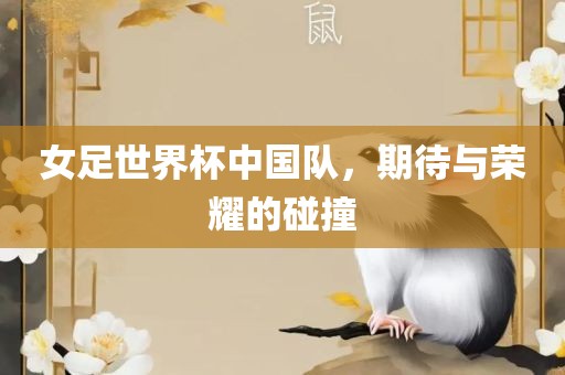 女足世界杯中国队，期待与荣耀的碰撞