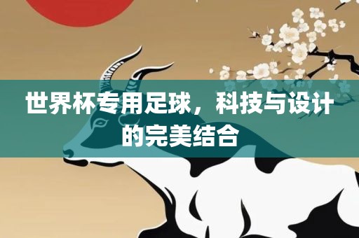 世界杯专用足球，科技与设计的完美结合
