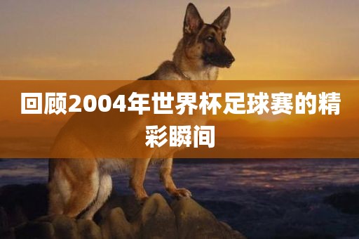 回顾2004年世界杯足球赛的精彩瞬间