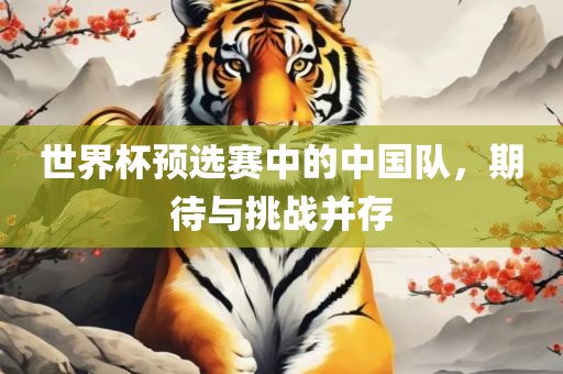 世界杯预选赛中的中漯河市盈旭机械设备有限公司国队，期待与挑战并存
