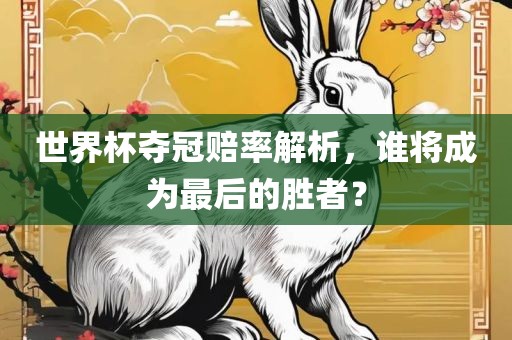 世界杯夺冠赔率解析，谁将成为最后的胜者？