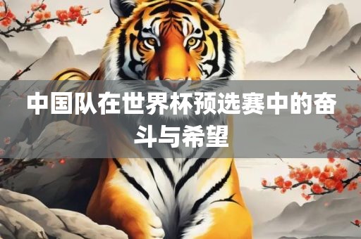 中国队在世界杯预选赛中的奋斗与希望