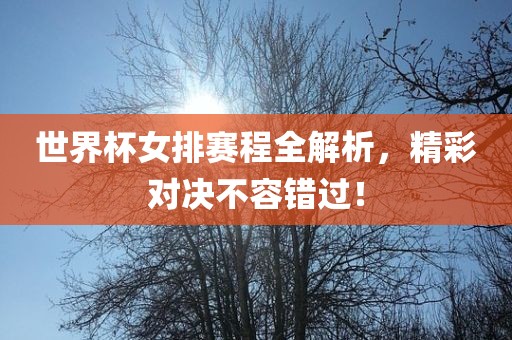 世界杯女排赛程全解析，精彩对决不容错过！