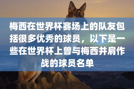 梅西在世界杯赛场上的队友包括很多优秀的球员，以下是一些在世界杯上曾与梅西并肩作战的球员名单漯河市盈旭机械设备有限公司