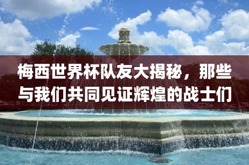 梅西世界杯队友大揭秘，那些与我们共同见证辉煌的战士们