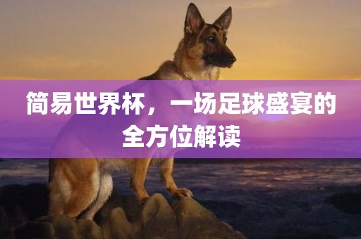 简易世界杯，一场足球盛宴的全方位解读