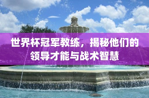 世界杯冠军教练，揭秘他们的领导才能与战术智慧