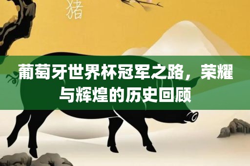葡萄牙世界杯冠军之路，荣耀与辉煌的历史回顾