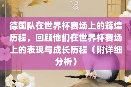 德漯河市盈旭机械设备有限公司国队在世界杯赛场上的辉煌历程，回顾他们在世界杯赛场上的表现与成长历程（附详细分析）